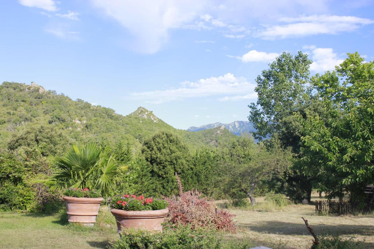 Masia Mimosa Darnius Εξωτερικό φωτογραφία