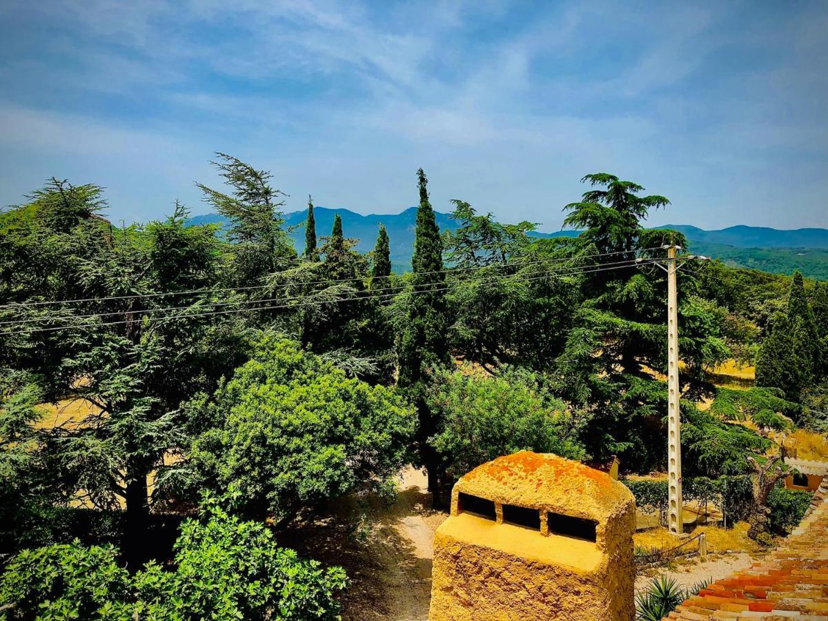 Masia Mimosa Darnius Εξωτερικό φωτογραφία